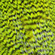 grizzly dyed fluo green chartreuse
