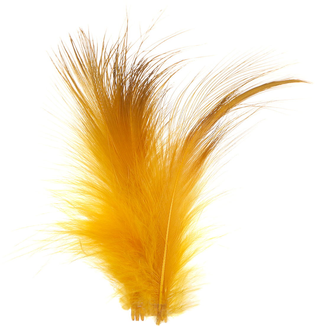 lion yellow