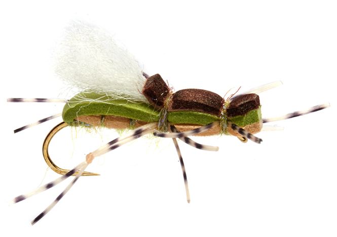 Mouche sèche Fulling Mill - Gordo Alberto Olive Beetle