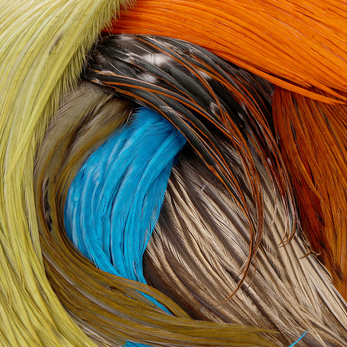 Pack de bogues Whiting Hackle