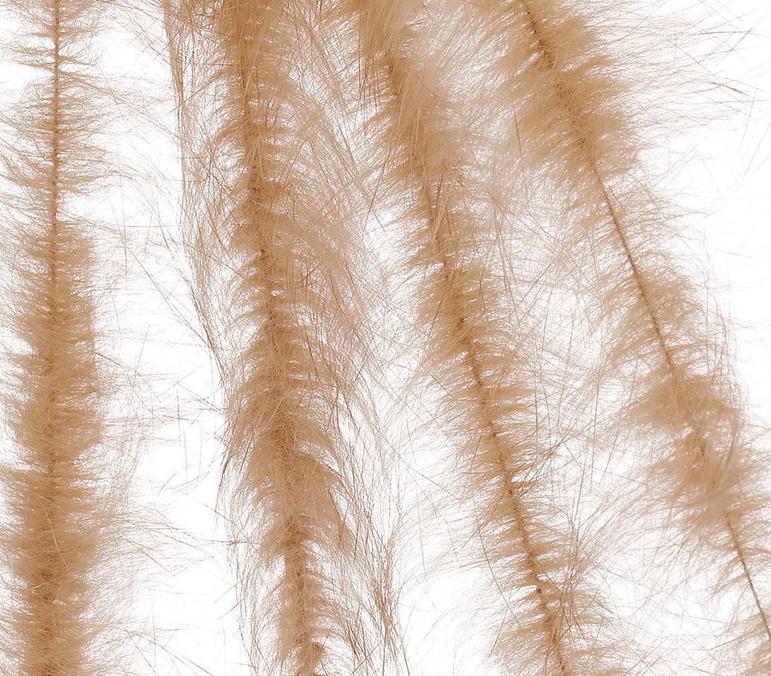 tan/brown
