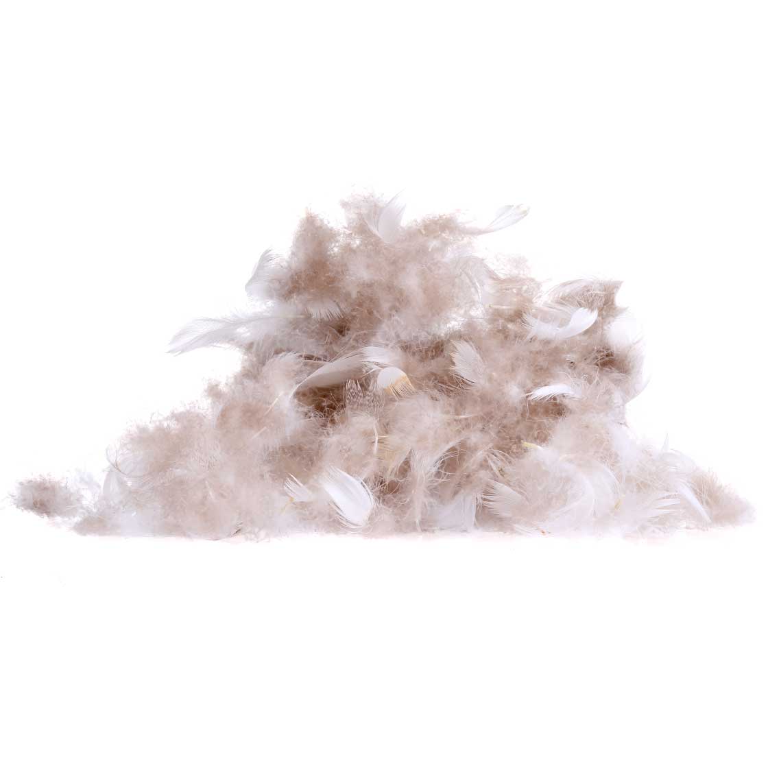 Veniard Wigeon Breast Maracea Washed Mixed Natural 2g Paquet