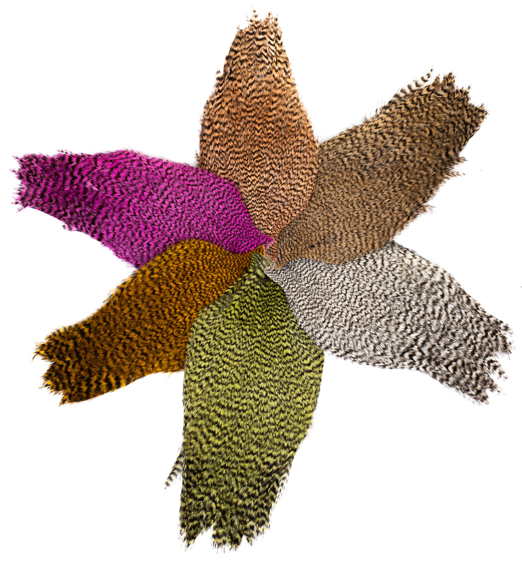Cape Grizzly Future Fly Signature Rooster