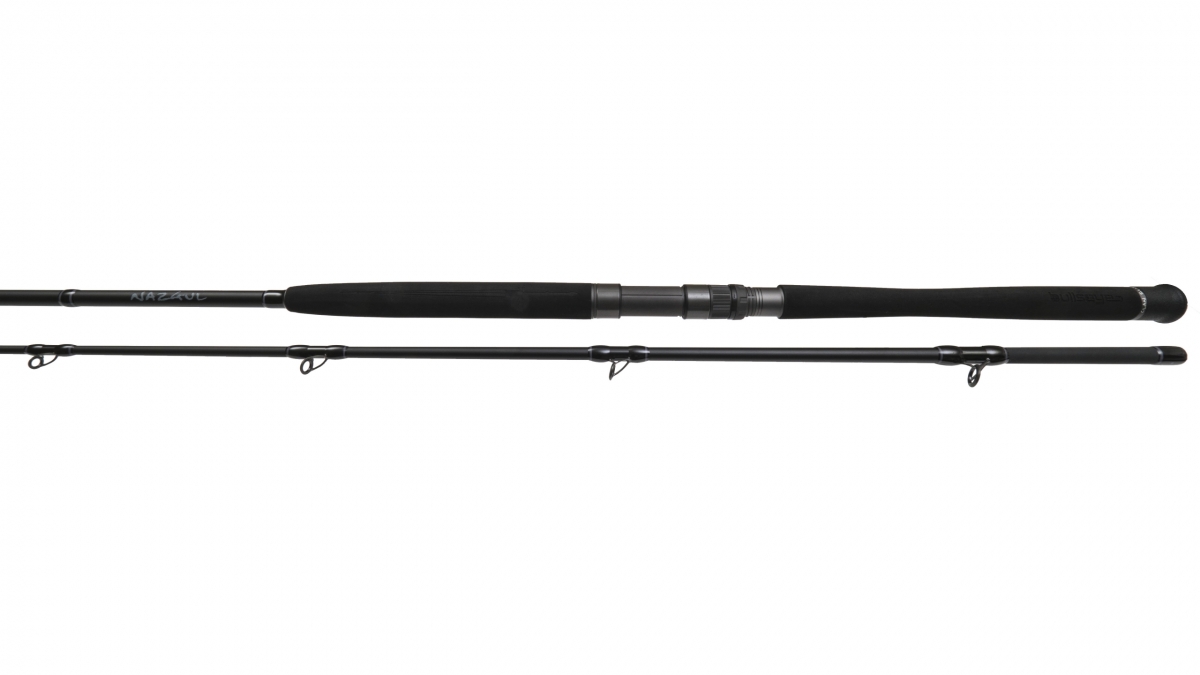 Bullseye Nazgul 260 30lbs Canne à pêche pour wallers