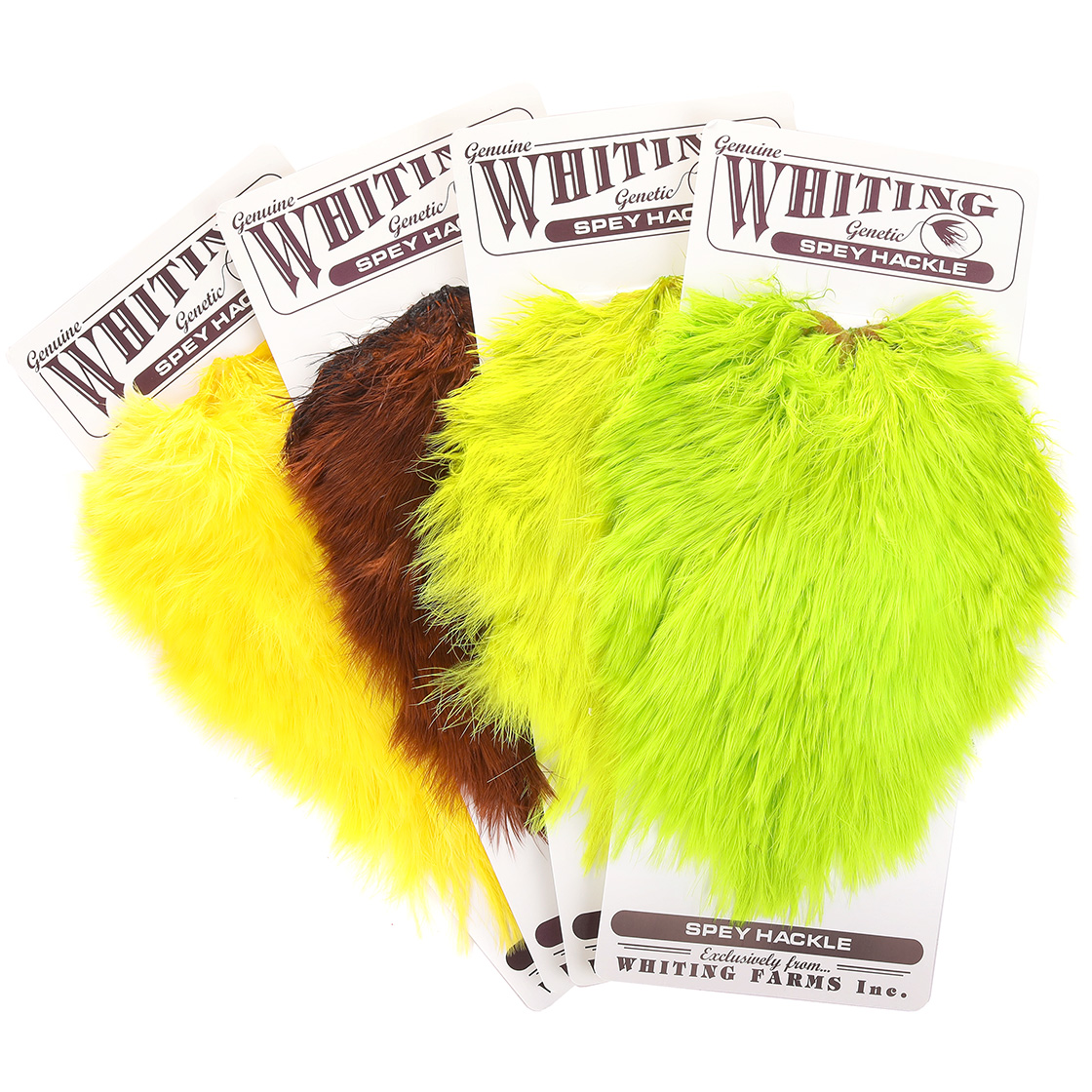 Selle de poule Whiting Spey Hackle