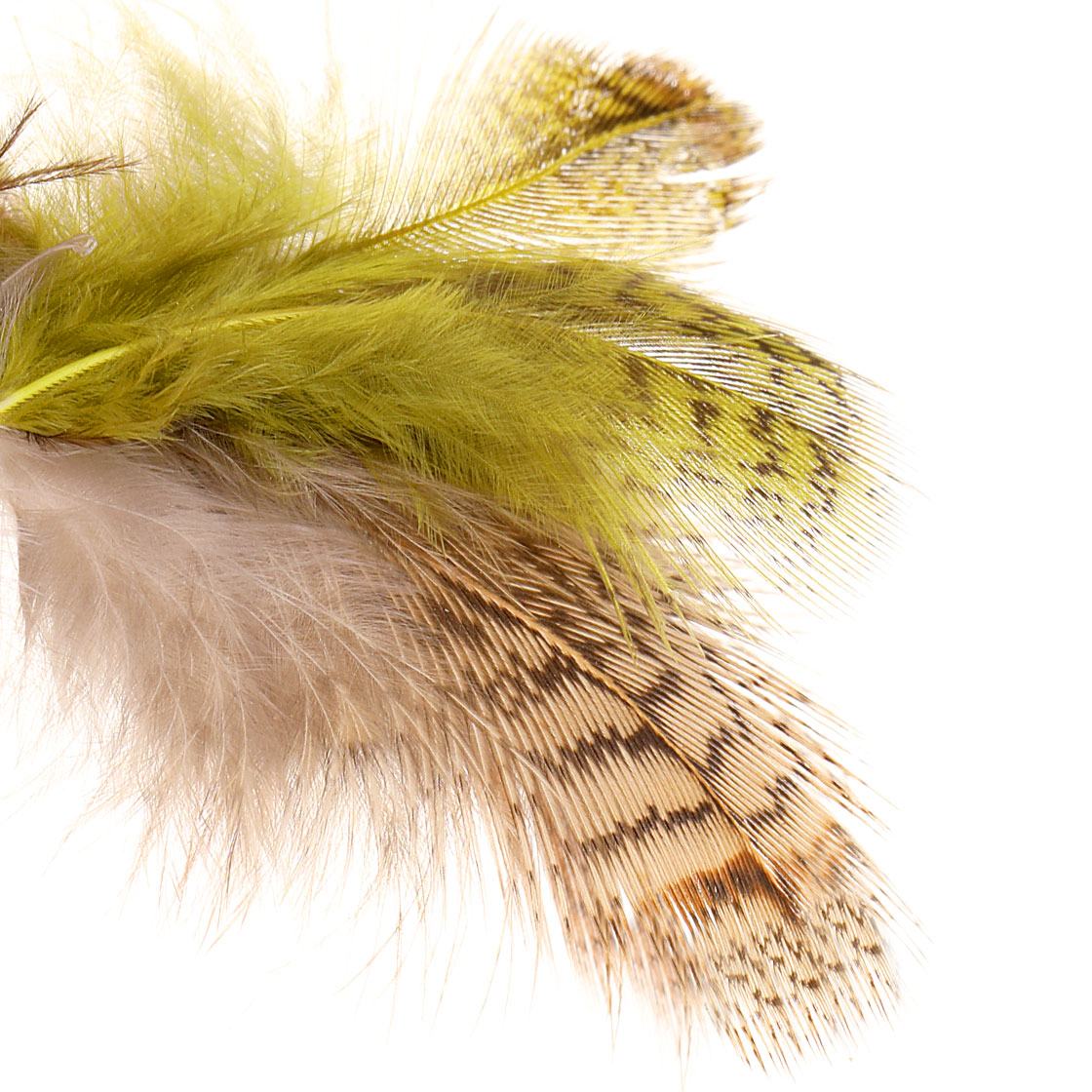 Soldarini Partridge Select Plumes de perdrix