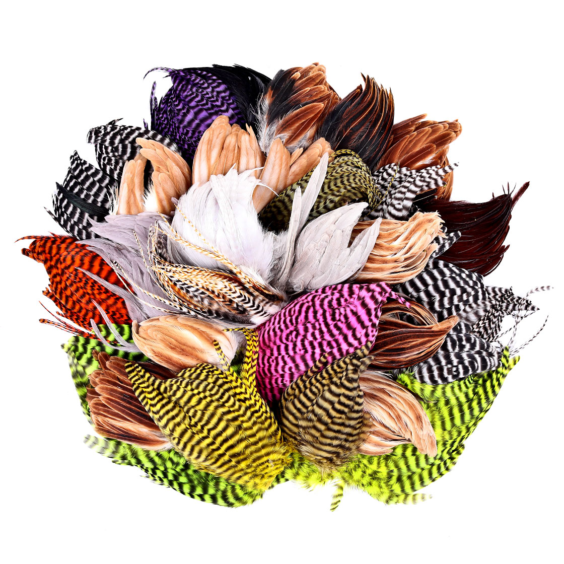 Whiting Tier's Variety Pack - Set de diverses capes et selles