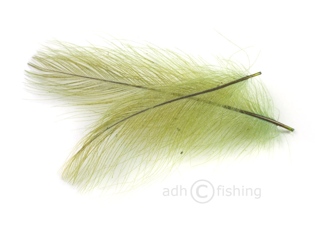 14 light olive