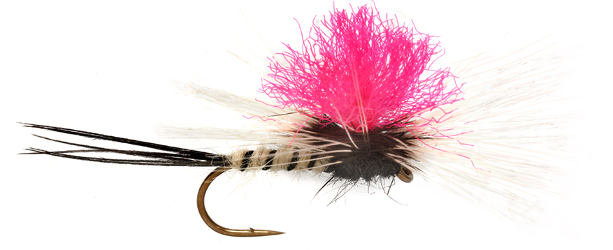 Fulling Mill mouche sèche - Jackie's Spent Pink Para May mouche de mai