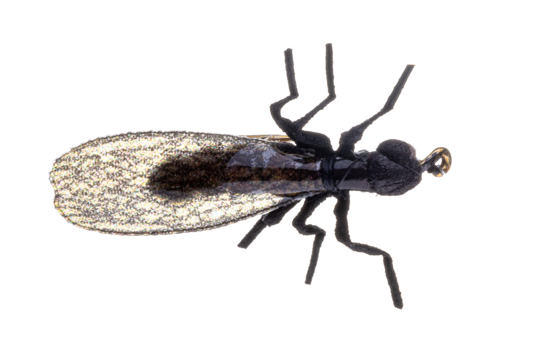Vania Realistic Mini Stonefly Black Mouche sèche