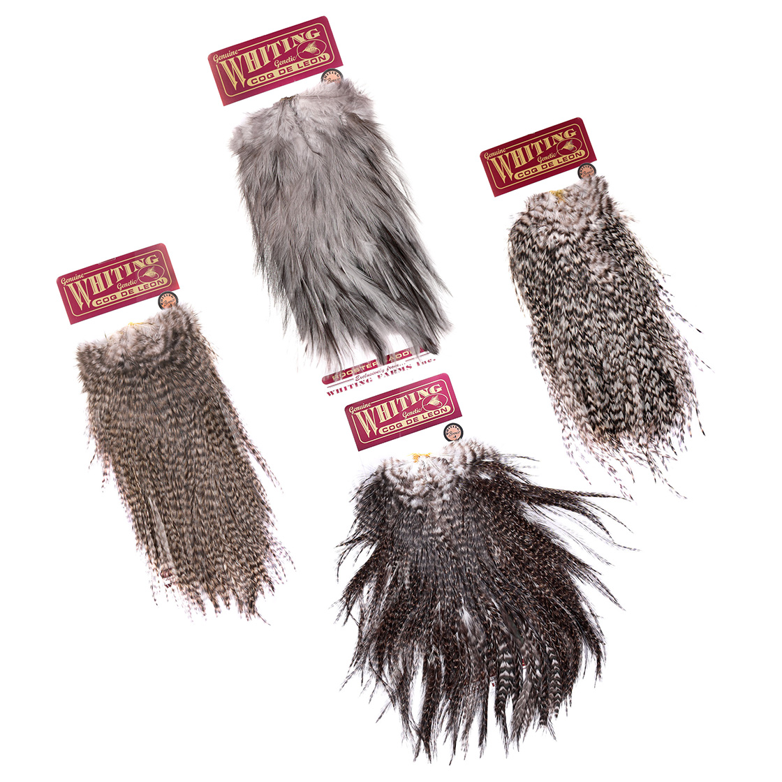 Whiting Coq de Leon Selle Bronze