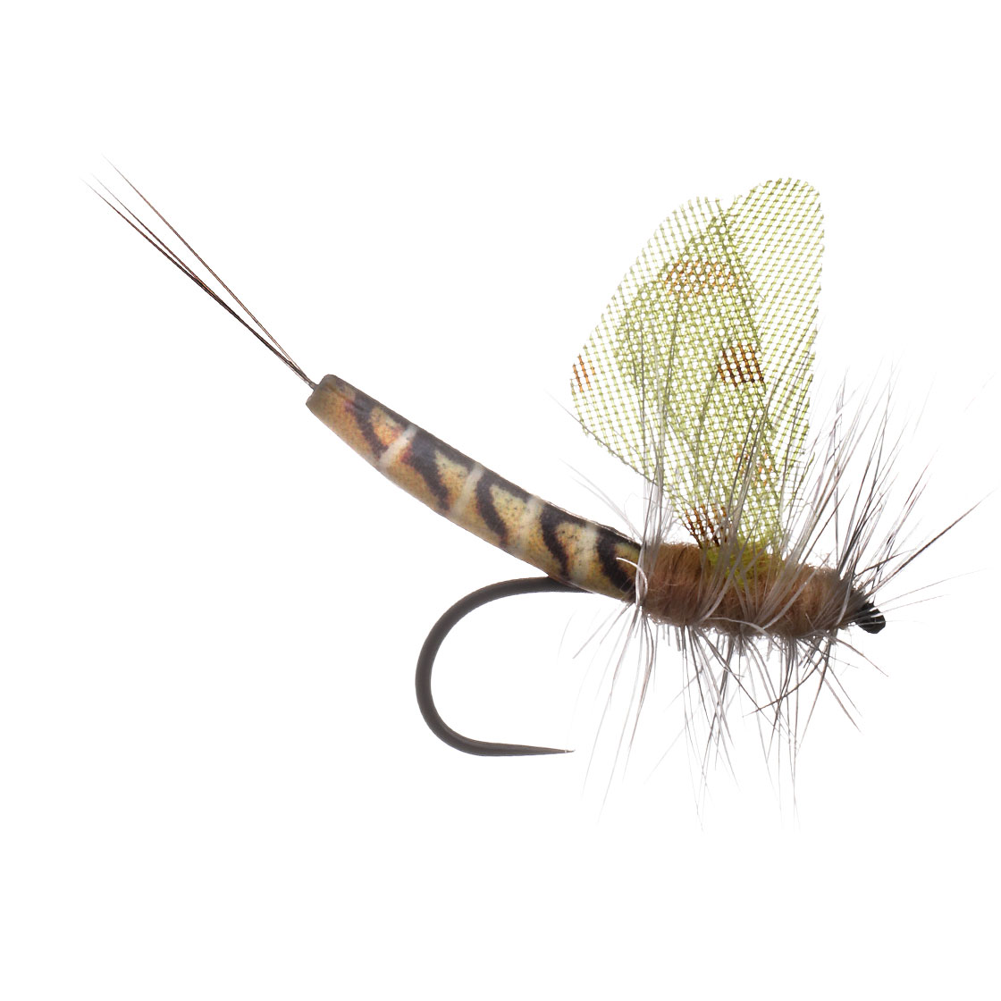 MFC Lucent Wing True Hex Mayfly Mouche sèche Mouche de mai Barbless #10