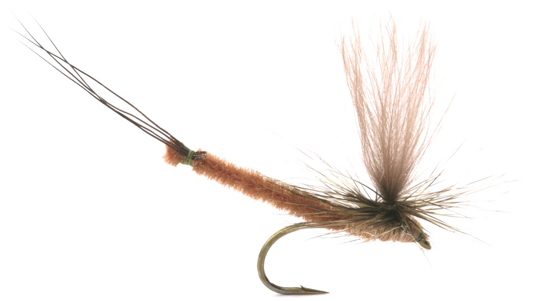 Guideline Mouche sèche - Vulgata Dun Mouche de mai