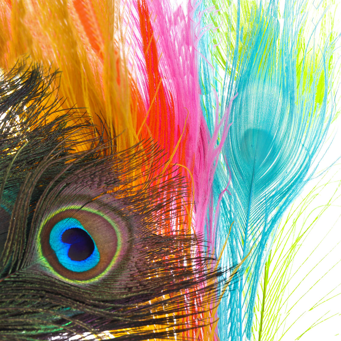 Frödin Flies SNS Peacock Eye Feathers Plumes œil de paon