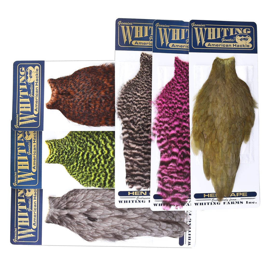 Whiting American Hen Cape