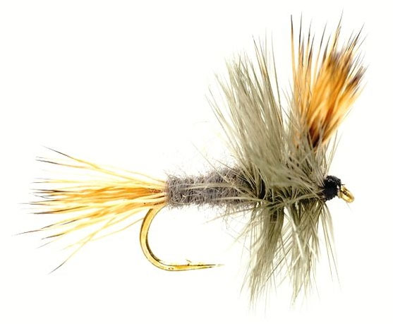 Fulling Mill mouche sèche - Wulff Gray