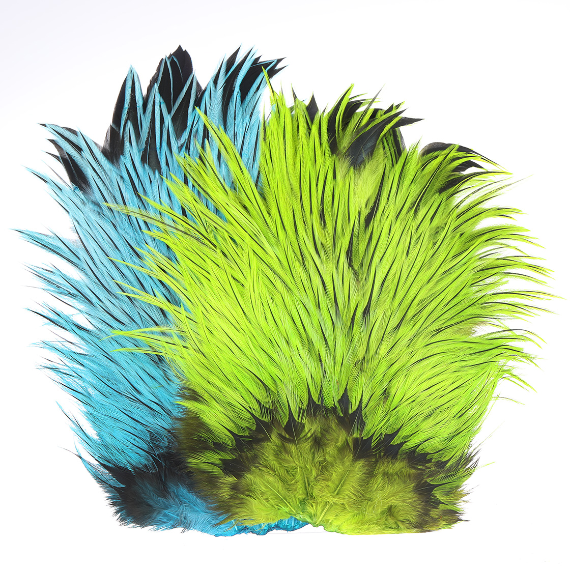 Bain de selle Whiting Brahma Rooster