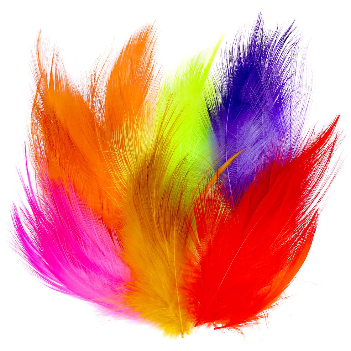 Frödin SNS Spey Hackles Egret Heron Plumes