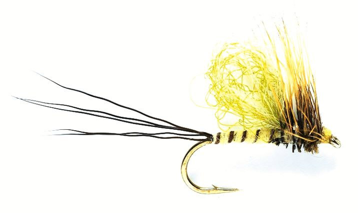 Fulling Mill mouche sèche - Loopwing Mayfly