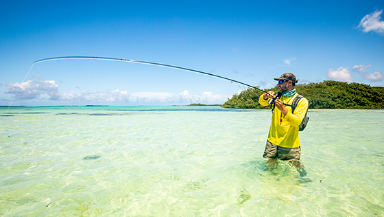 Prêt pour l'eau salée ! Conseils et astuces pour la pêche à la mouche sous les tropiques. La liste de matériel adh-fishing.