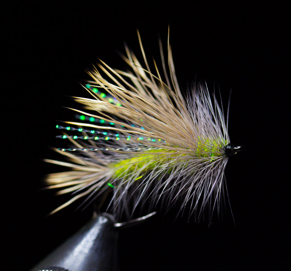Whiting_Blog_Trockenfliege_Lachmann_2 - Whiting Farms - Qualität für Fliegenbinder