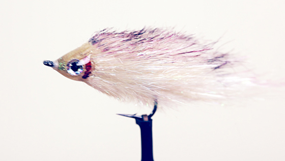 Vidéo de montage : Baitfish Streamer