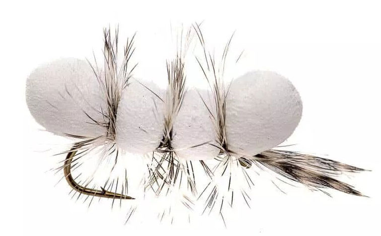 Superflies Pupu Tupuna White Big Fish Mouche sèche #6