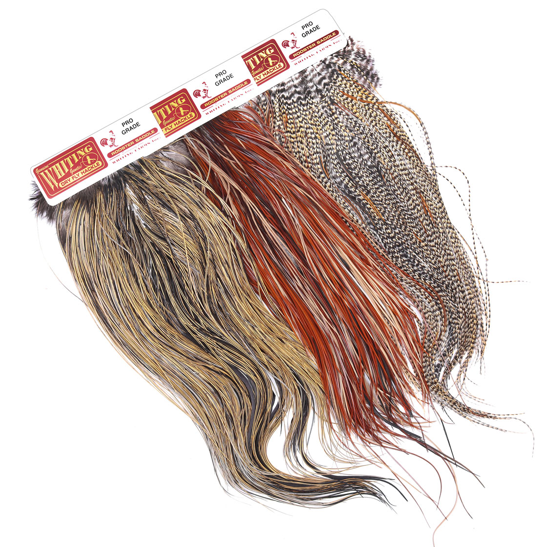 Selle de Midge Whiting Pro Grade