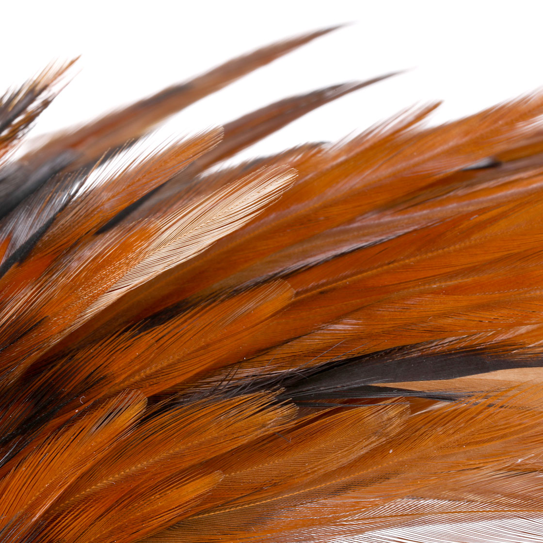 P-25376_Whiting-4-B-s-Rooster-Saddle_detail_5