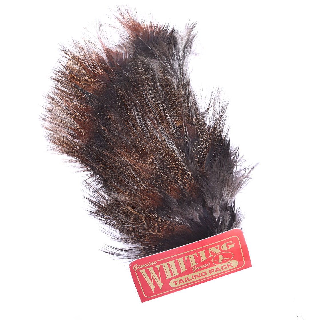 P-25396-2_Whiting-Coq-de-Leon-Tailing-Pack_dark-pardo dark pardo