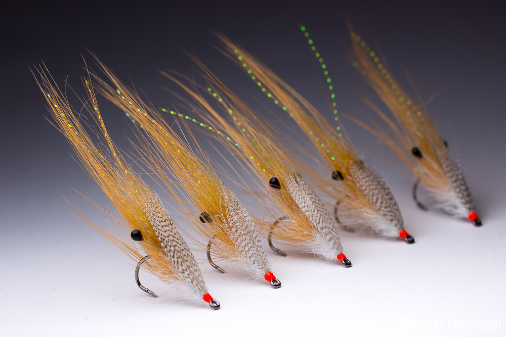 Easy_Shrimp_Eyes_Promo_Holger_Lachmann_1 Bindebeispiel (Holger Lachmann)