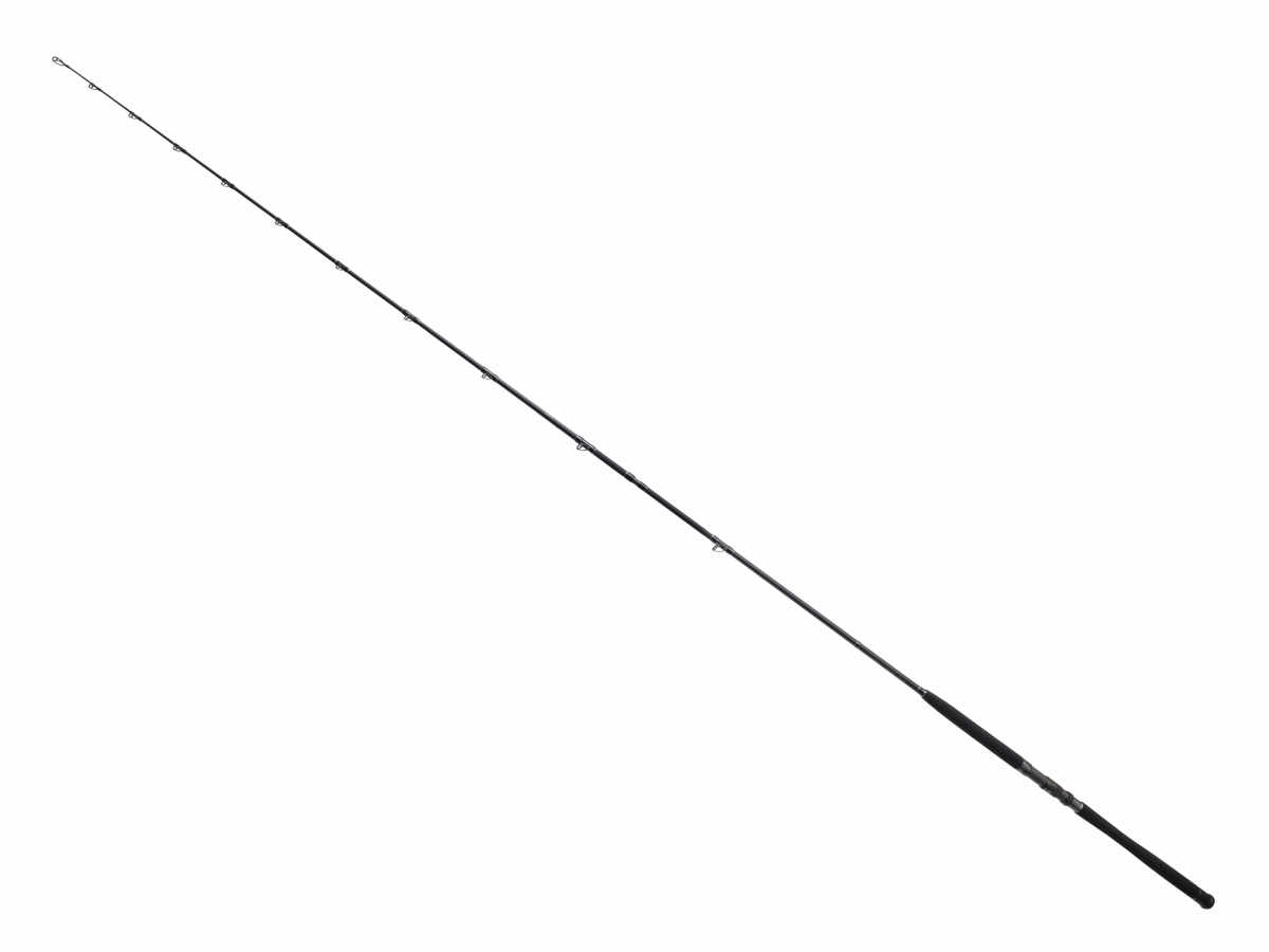 P-17506_Bullseye_Nazgul_300_40lbs_Wallerrute_Spinnrute_2