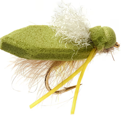 Fulling Mill Tactical Terrestrials Procters Tongue Tussock Cicada White Wing Mouche sèche