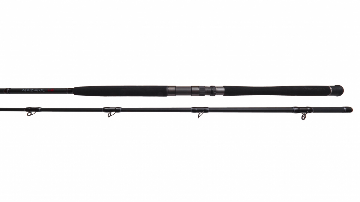 Bullseye Nazgul 300 40lbs Canne à pêche pour wallers