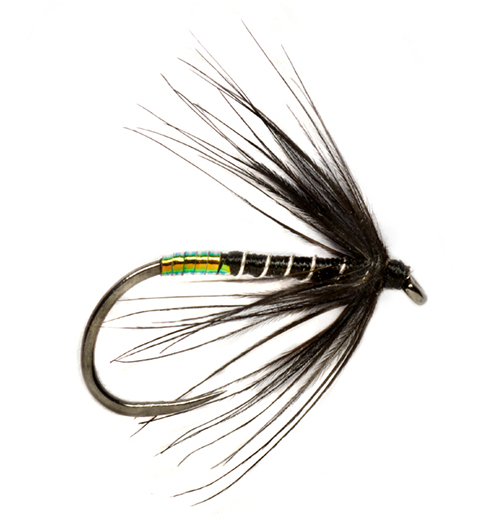 Mouche humide Fulling Mill - Procter Pearly Butt Black Spider Barbless