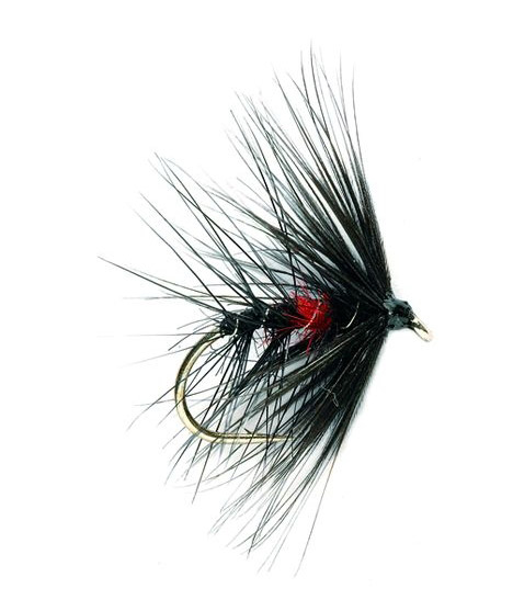 Fulling Mill mouche humide - Bibio