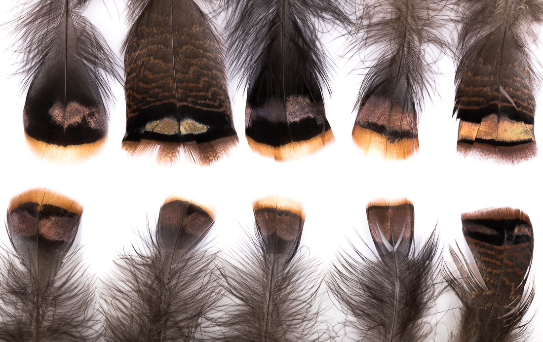 Hareline Turkey Shorts Mix Plumes de dinde