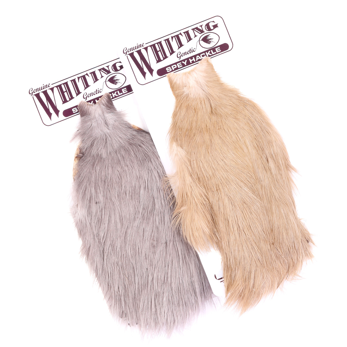 Whiting Spey Hen Hackle Cape