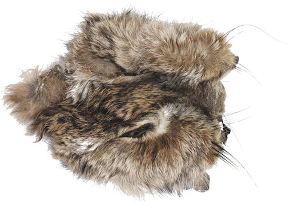 Soldarini Hare's Mask Masque de lapin