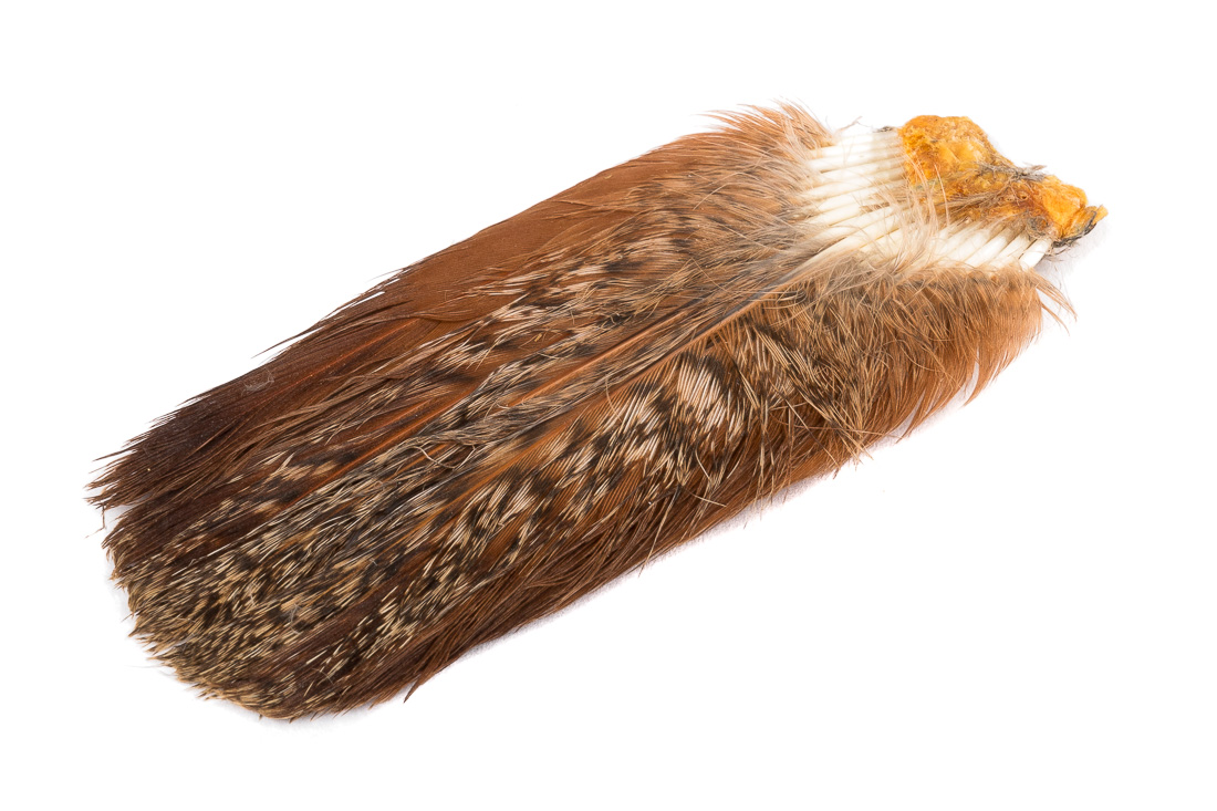 Veniard English Partridge Complete Tail - Queue de perdrix