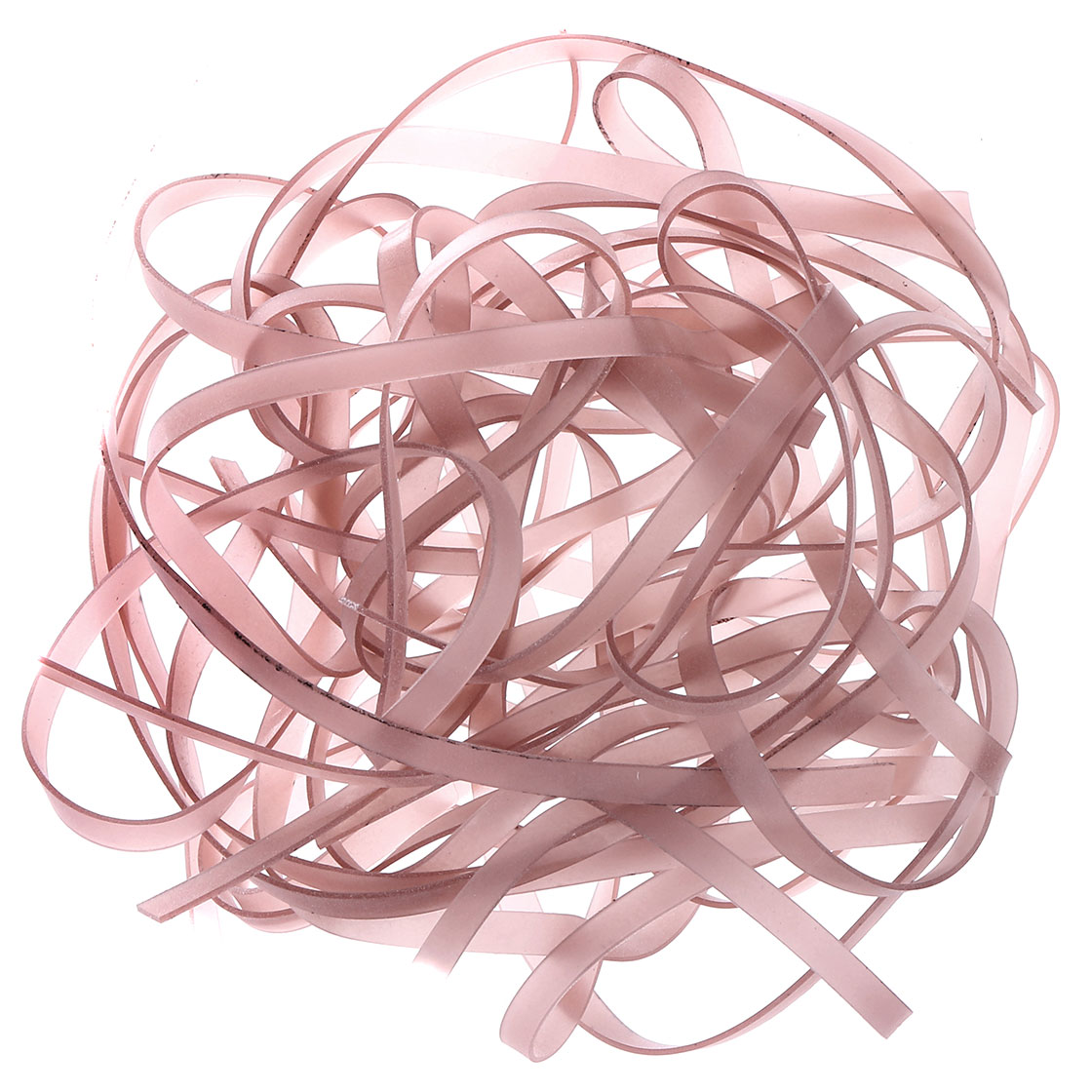 translucent earthworm