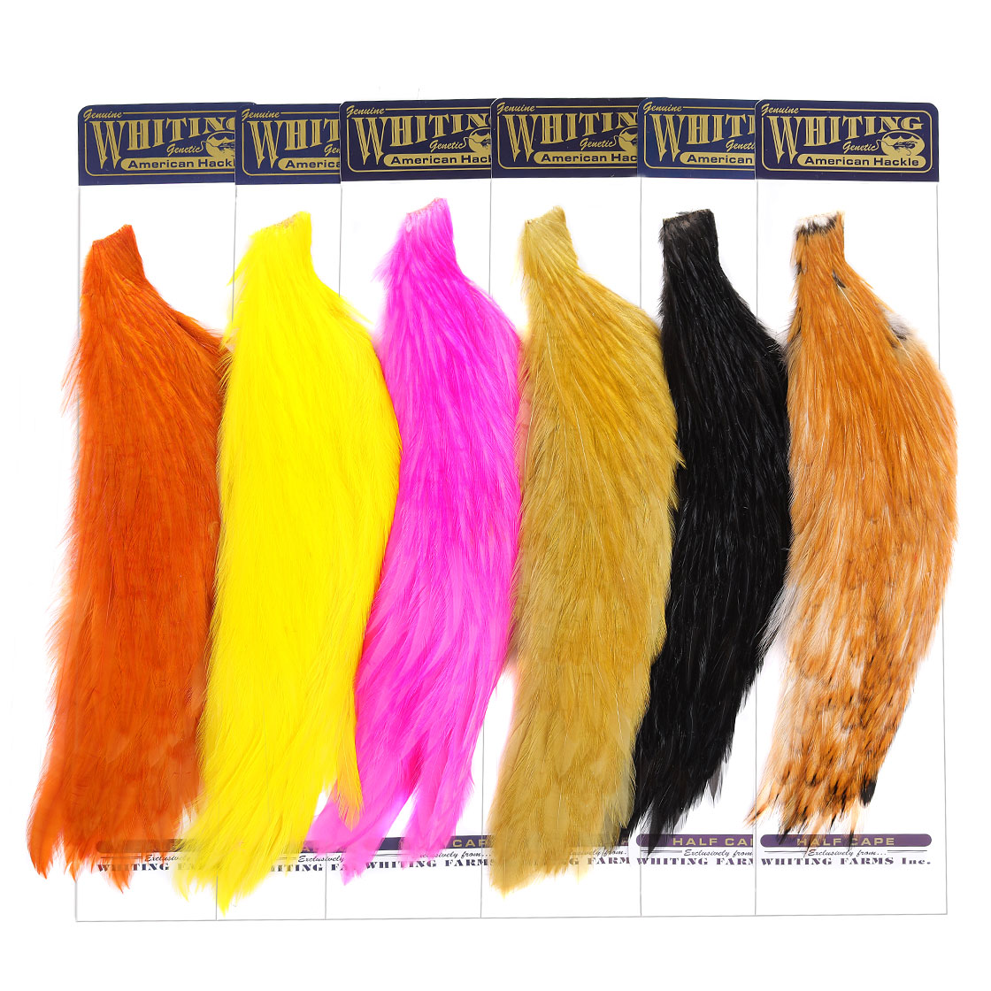Whiting American Rooster 1/2 Cape