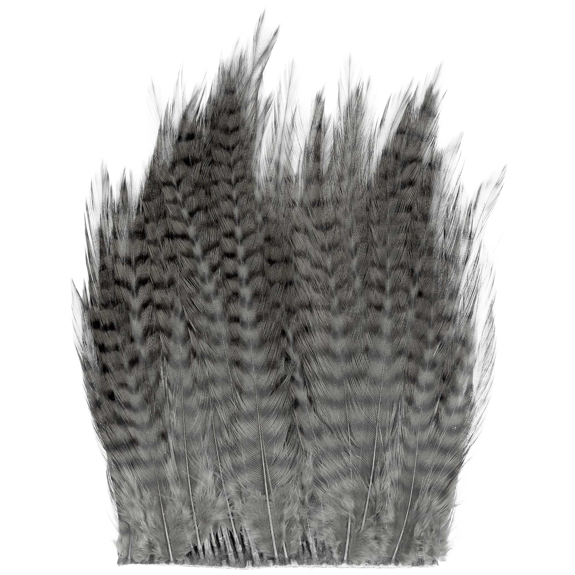 Waspi Ewing Middle Part Grizzly Premium Quality