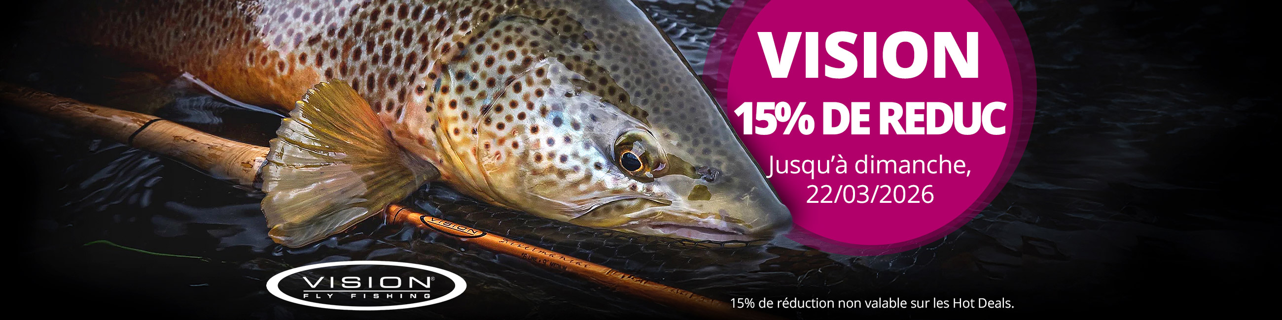 15% sur VISION jusqu'au 22/3
