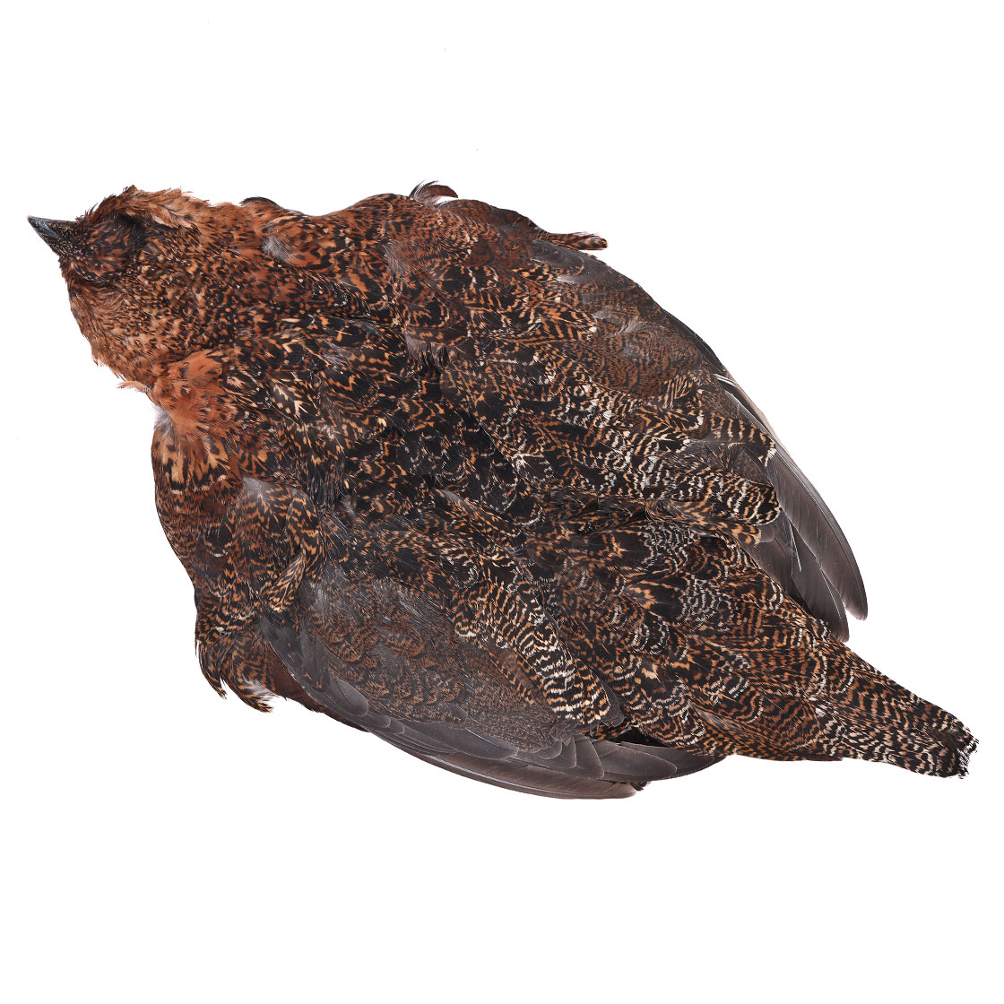 Veniard Grouse Peau de corps complète