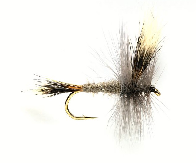 Fulling Mill mouche sèche - Mayfly Gray Wulff