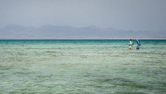 sudan2015_ti_sm.jpg