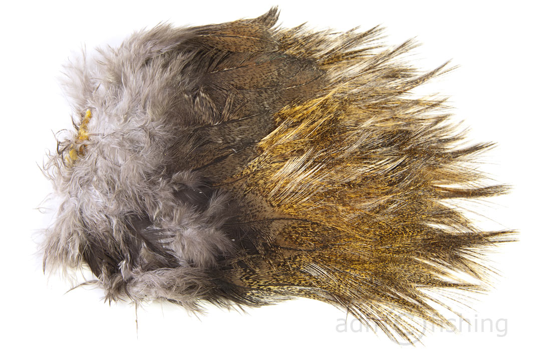 whitings-tailing-medium-pardo-hi medium pardo
