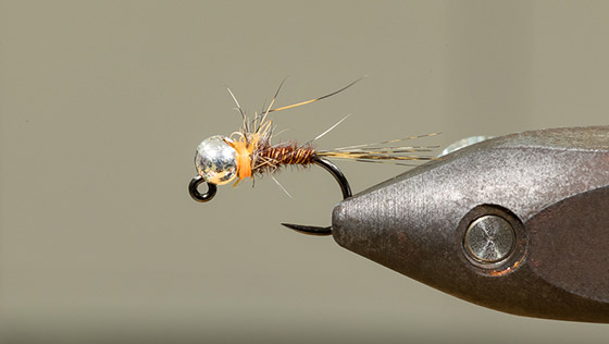 Vidéo de montage Hot Spot Pheasant Tail Jig avec Alexander Keus