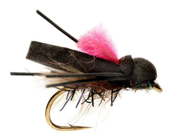 Fulling Mill mouche sèche - Procter's Flip Flop Pink Beetle